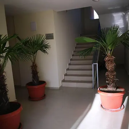 Kamelia Garden 2 Хотел Слънчев бряг