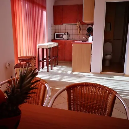 Kamelia Garden 2 Слънчев бряг